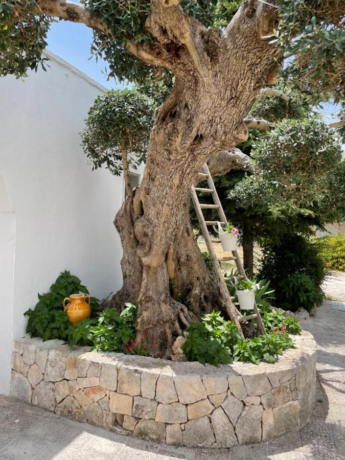 Il Trullo Di Nonno Licchio Villa Alberobello Exterior photo